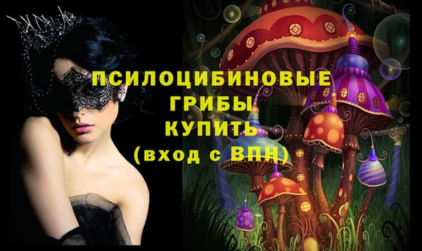 МДПВ Абинск