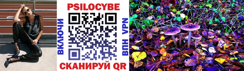 Псилоцибиновые грибы GOLDEN TEACHER  закладка  Волоколамск 